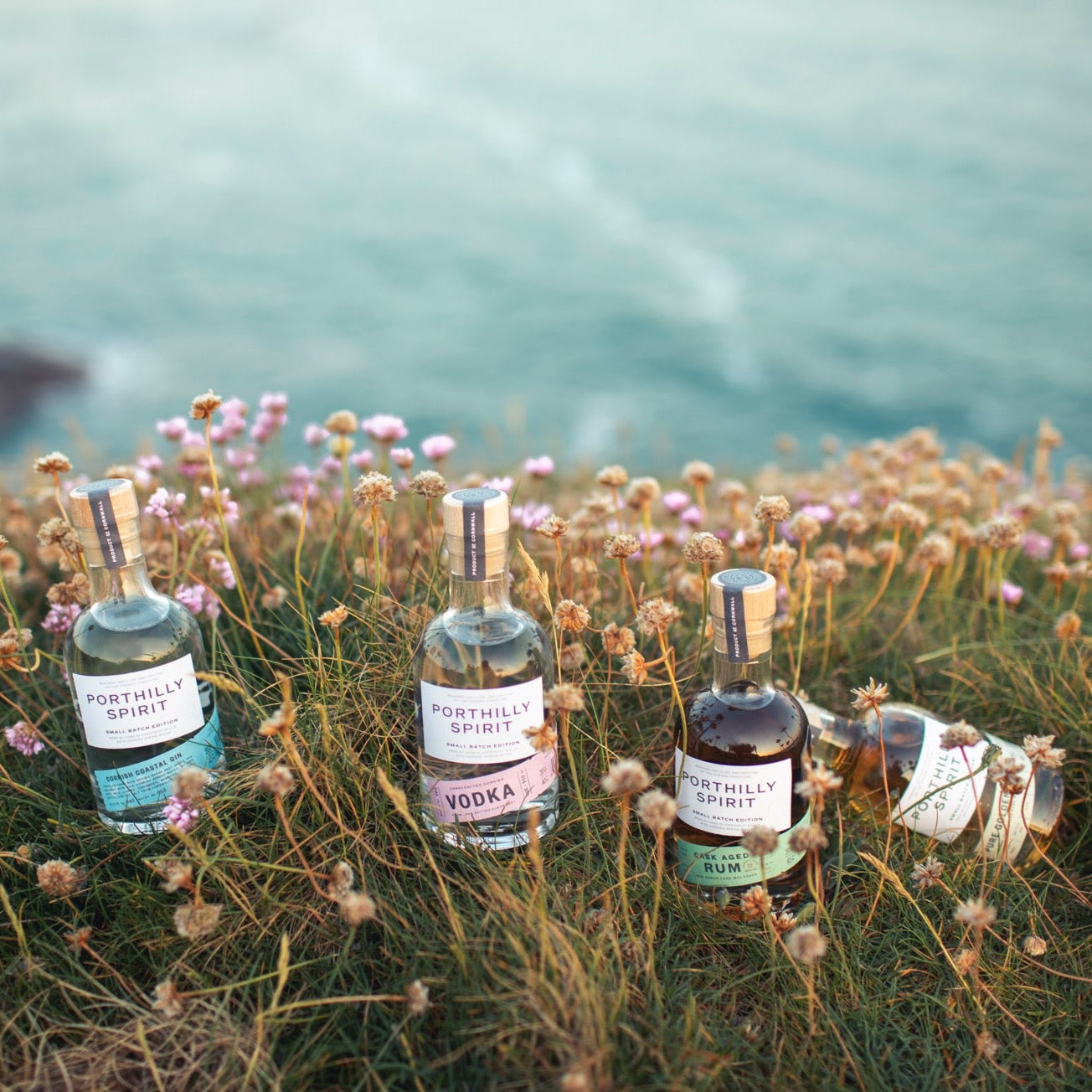 Porthilly Spirit Family nestled in Sea Pink